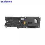Haut-Parleur Original Samsung Galaxy A53 5G A536 GH96-15037A Inférieur